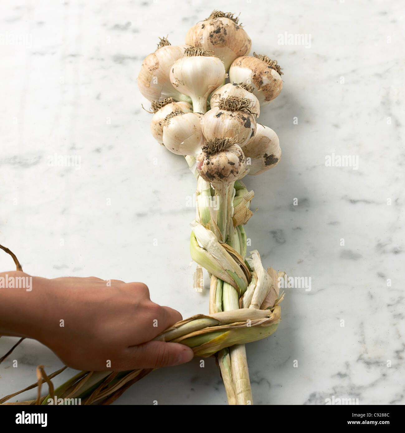 Making garlic plait Stock Photo