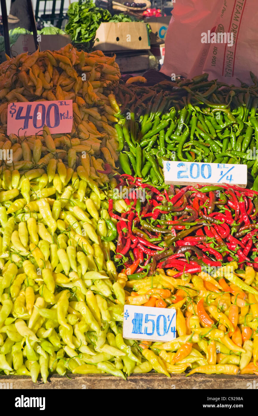 Chile, Chillan, chilli peppers for sale at market Stock Photo - Alamy