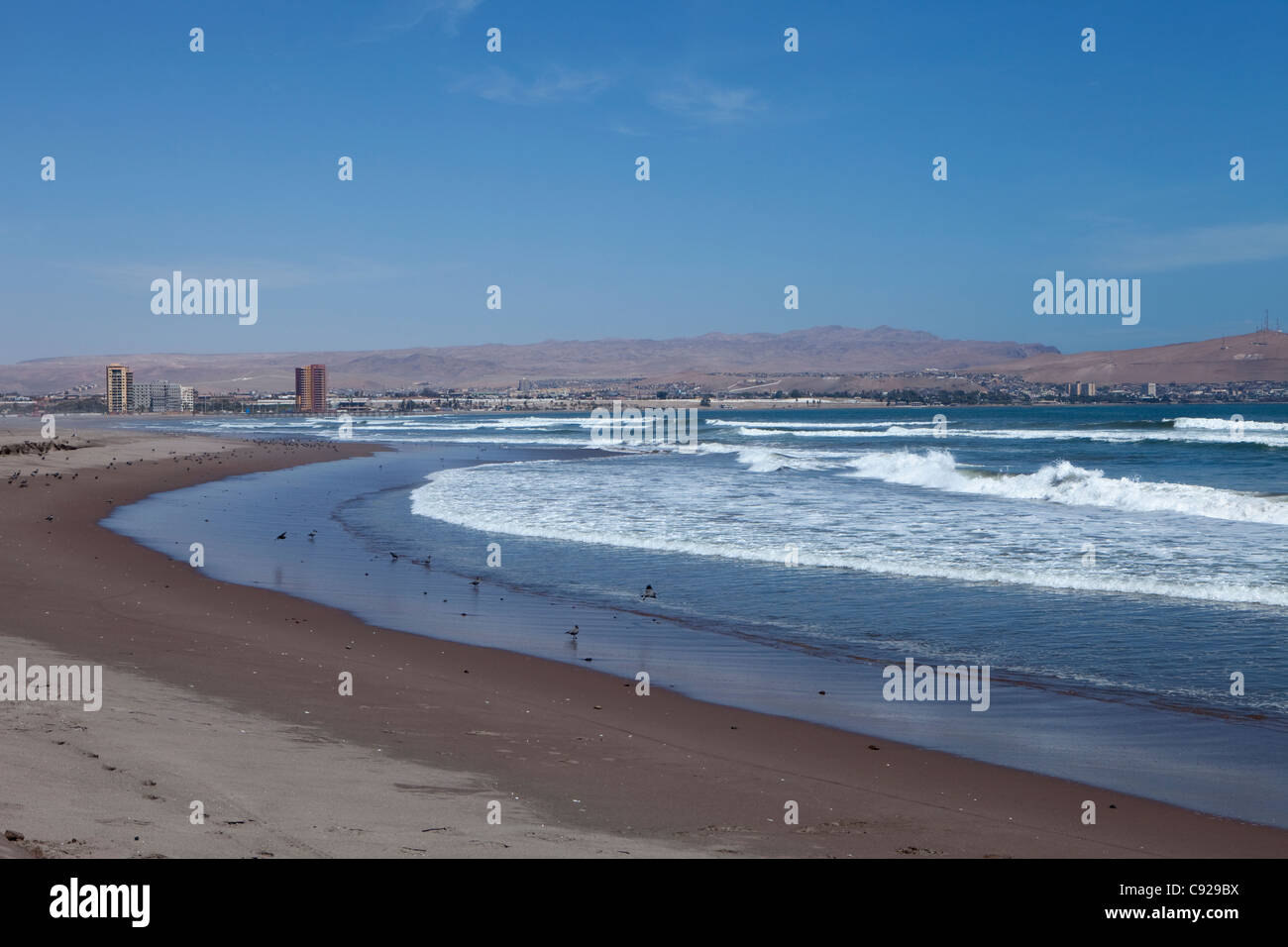 Chile, Arica, Las Machas beach Stock Photo