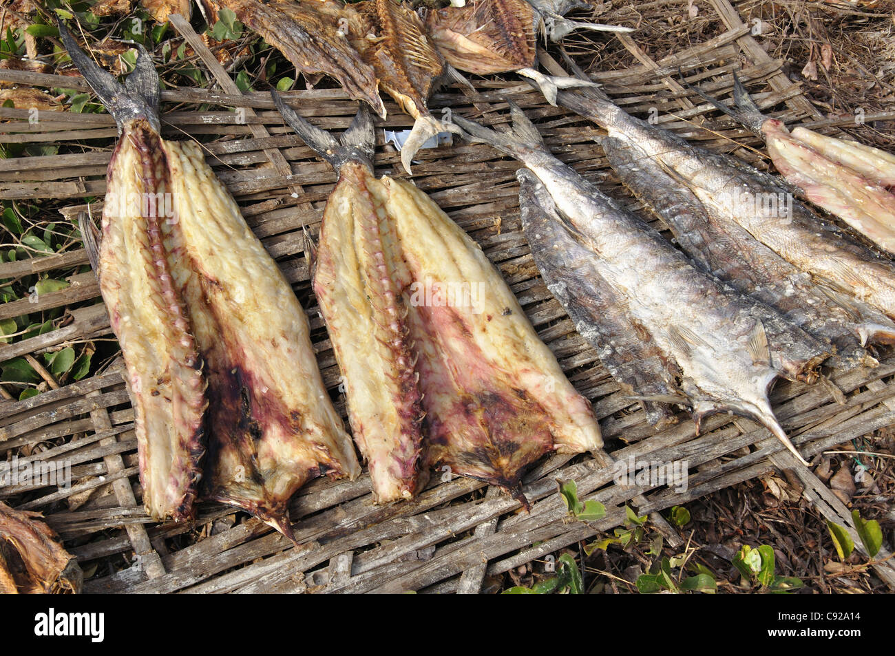 Guinea Bissau is a poor country with a very low GDP and the population survive on subsistence farming and fishing. Drying fish Stock Photo