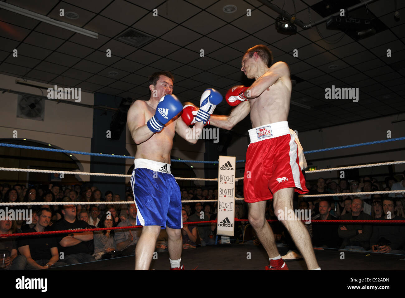 Chessboxing, boxing and chess board game being played alternately as part  of a new surreal sport, Islington, London, UK Stock Photo - Alamy