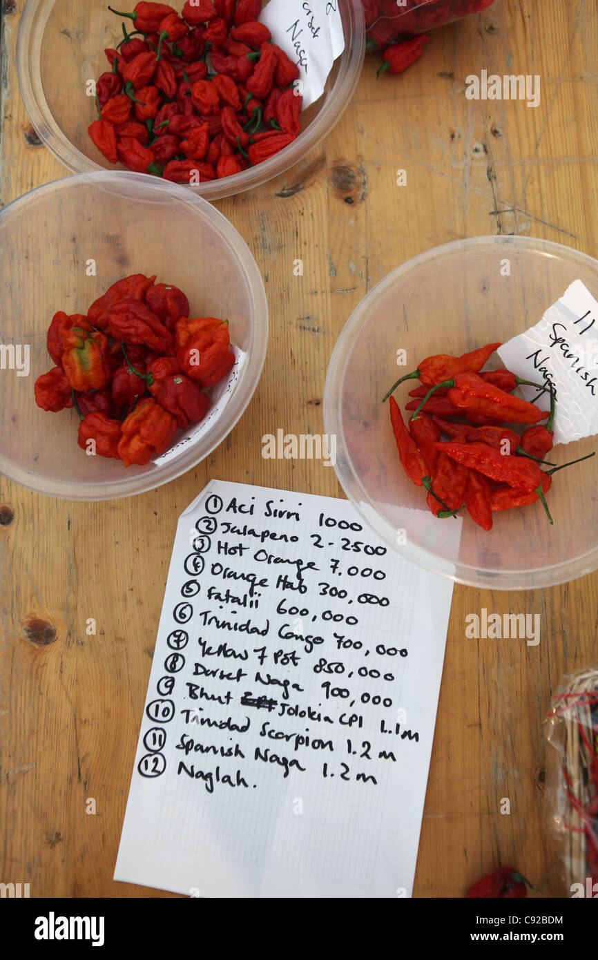 The quirky annual chilli-eating contest held on a weekend in September in Brighton, East Sussex, England Stock Photo