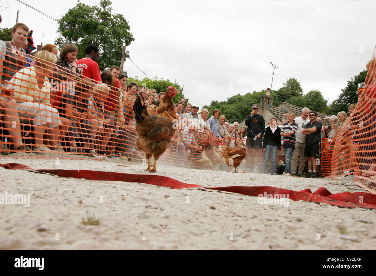 The quirky annual Bonsall World Championship Hen Races, held at The Barley Mow pub in Bonsall, Derbyshire, England Stock Photo