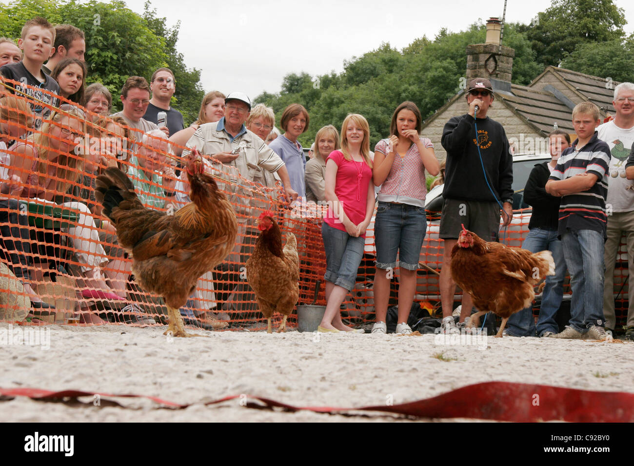 The quirky annual Bonsall World Championship Hen Races, held at The Barley Mow pub in Bonsall, Derbyshire, England Stock Photo