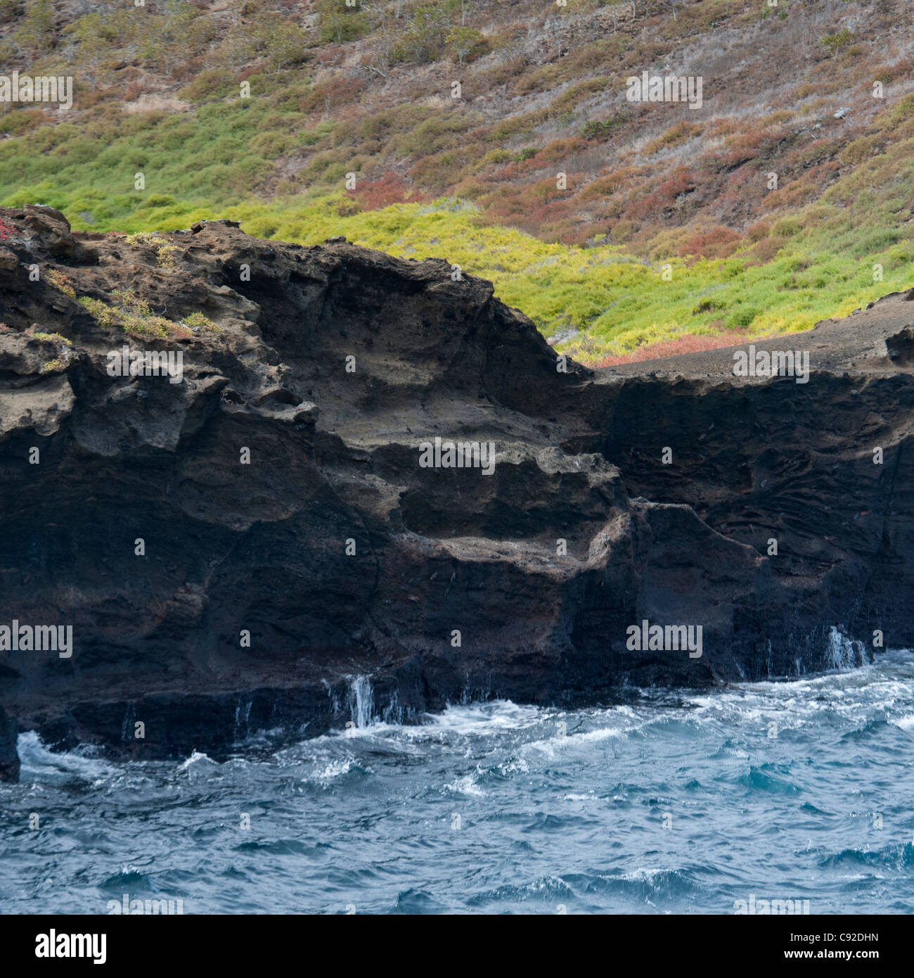 Parque nacional galapagos hi-res stock photography and images - Alamy