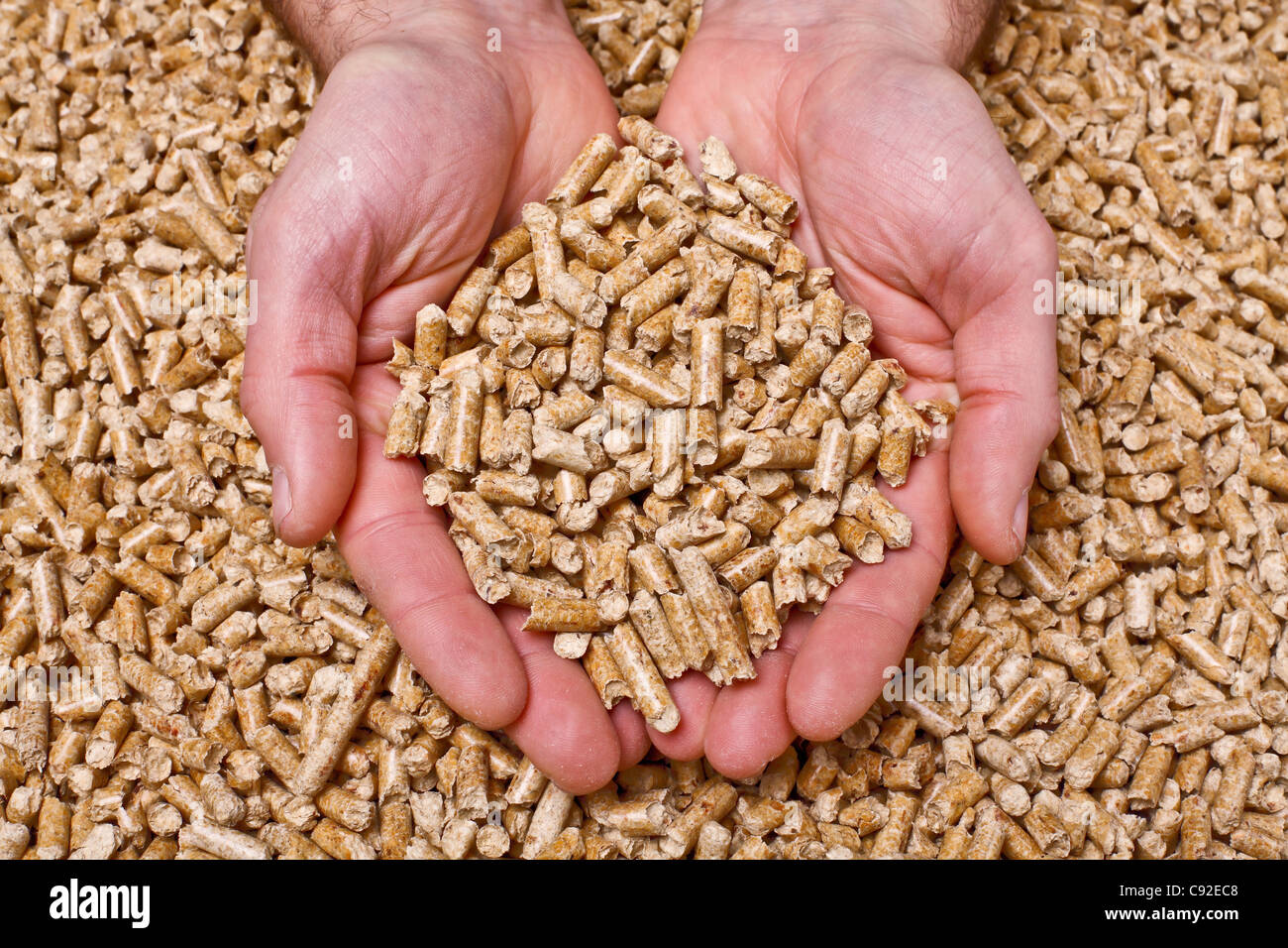hand with natural wood pellet Stock Photo - Alamy