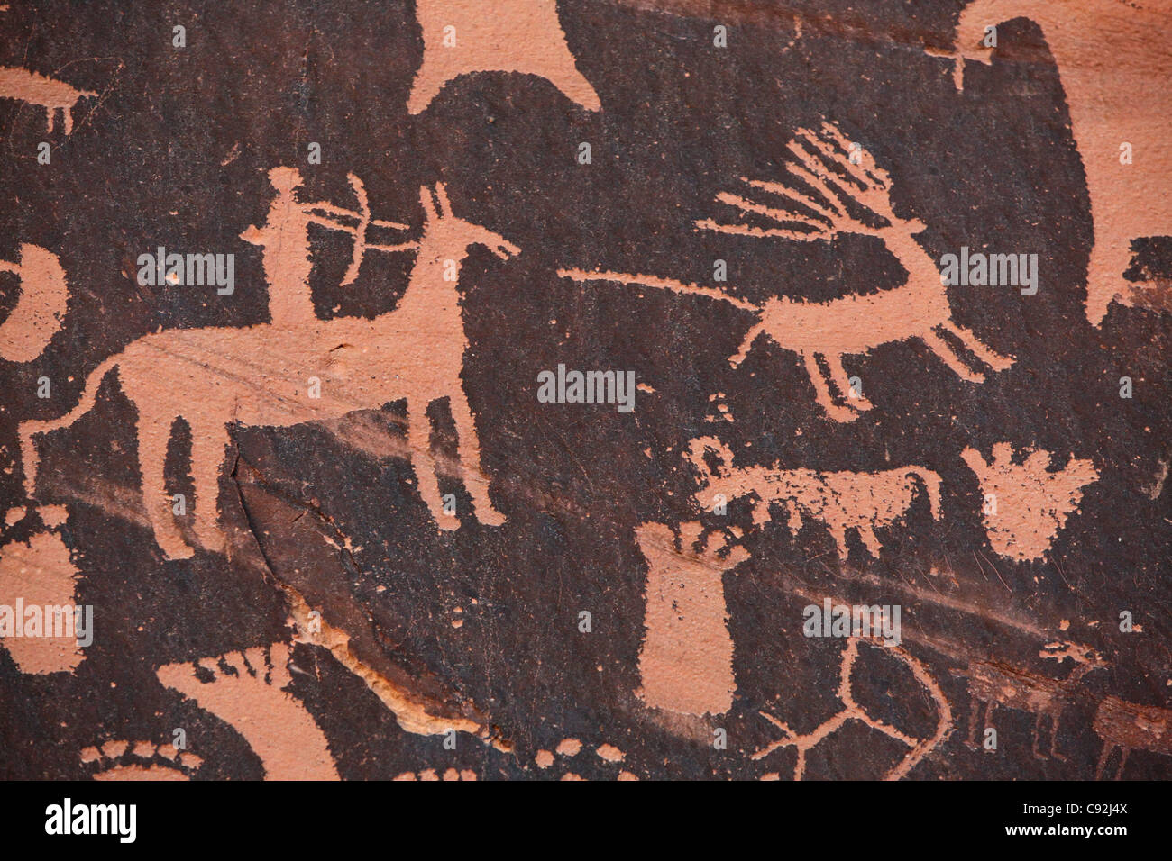 Newspaper Rock Petroglyphs, Monticello, Utah Stock Photo