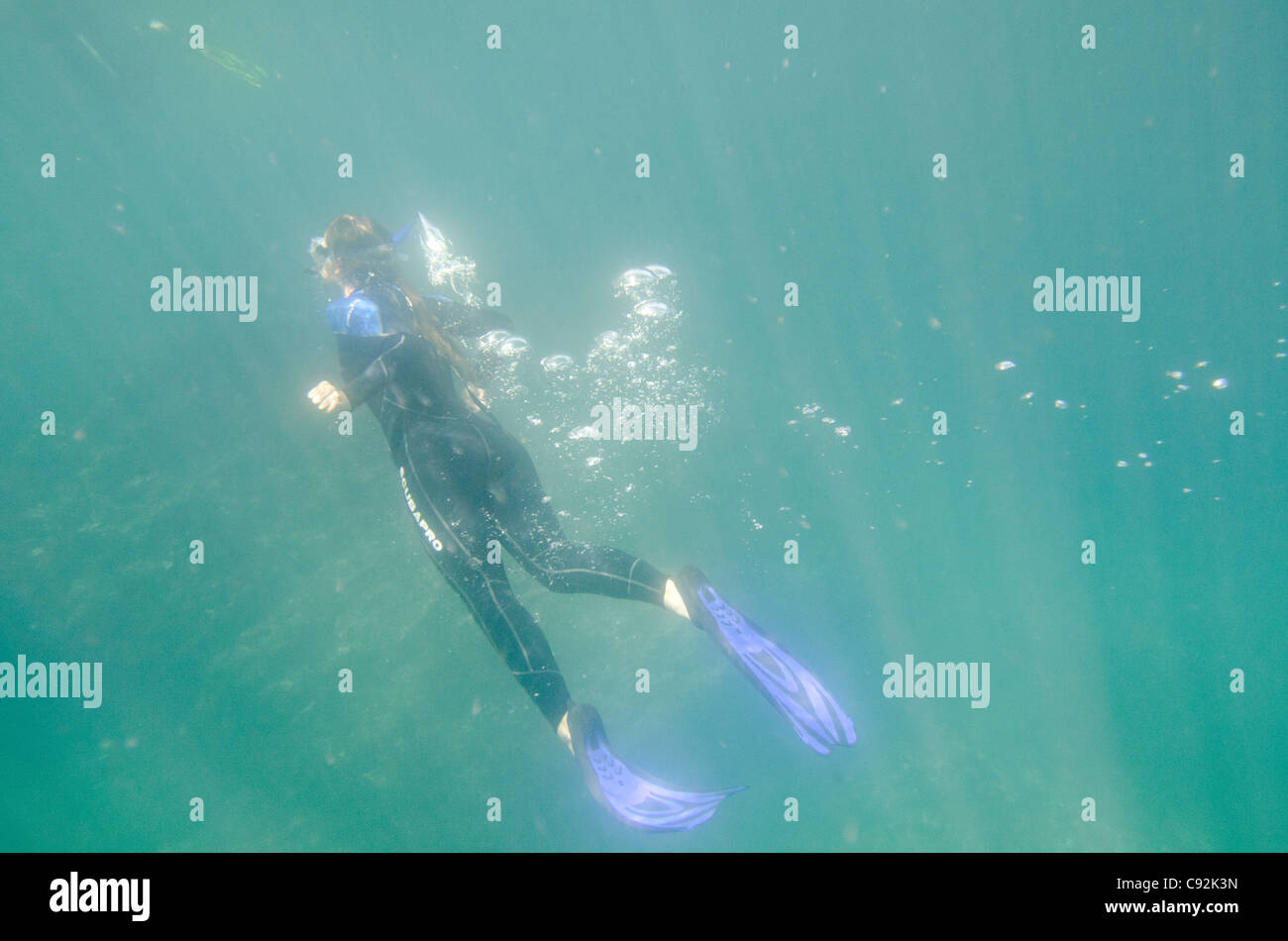 Woman scuba diving underwater, Tagus Cove, Isabela Island, Galapagos