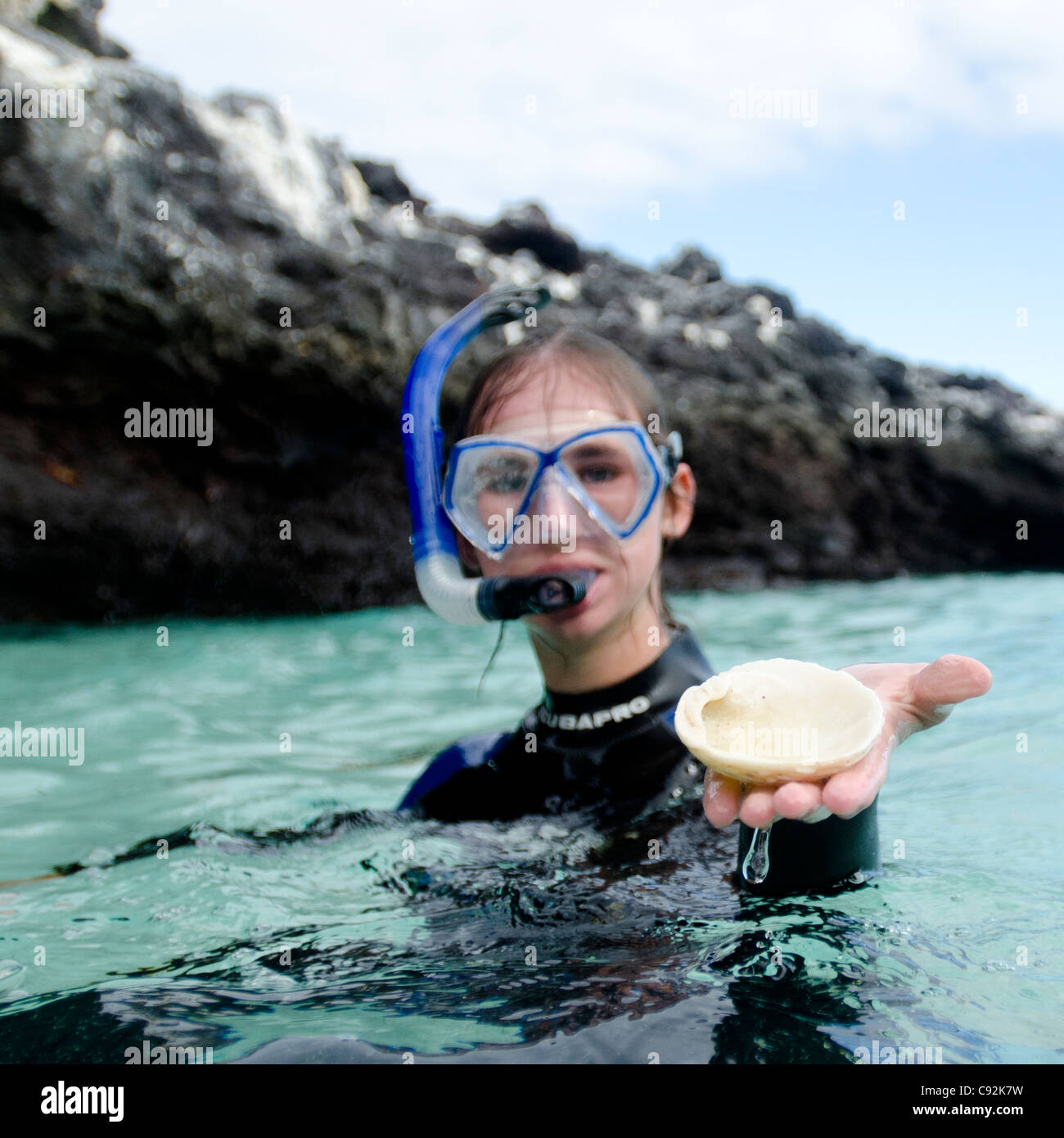 Scuba diver showing a conch shell, Puerto Egas, Santiago Island