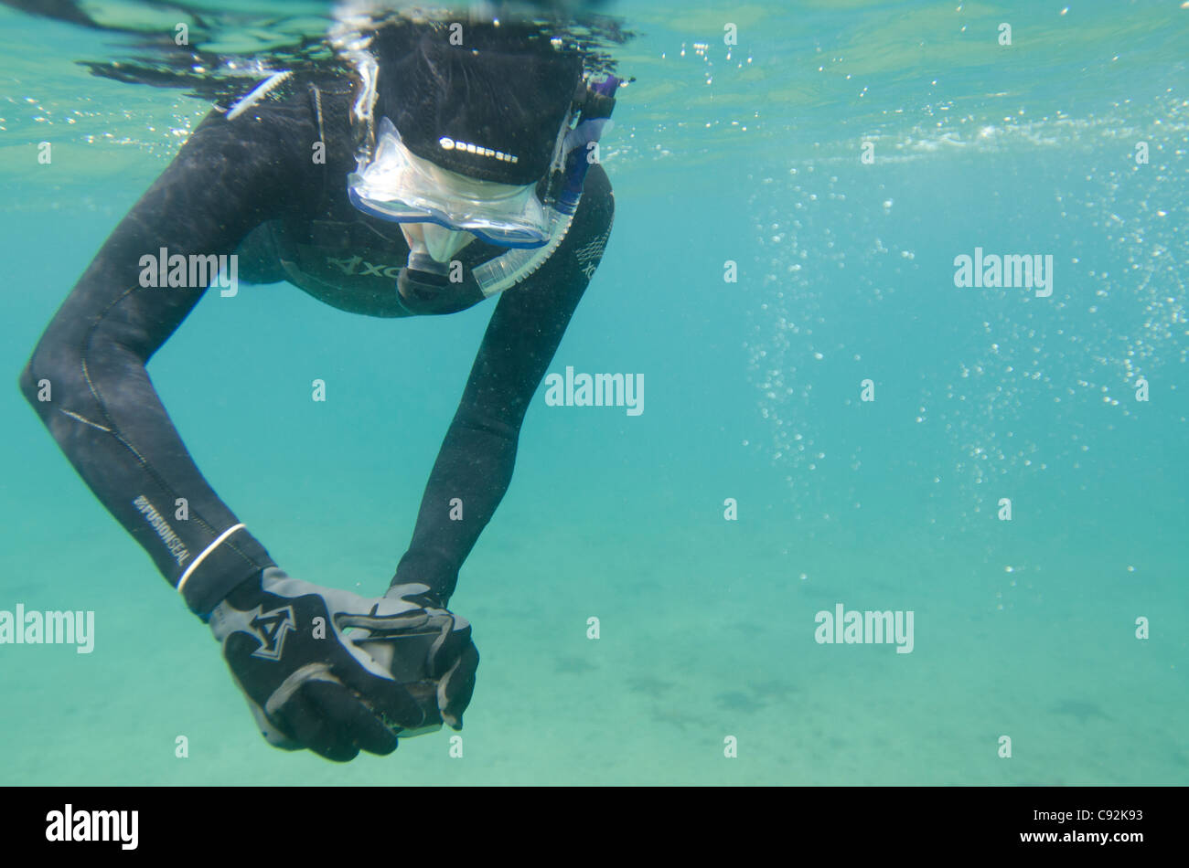 Scuba diver photographing underwater, Bartolome Island, Galapagos