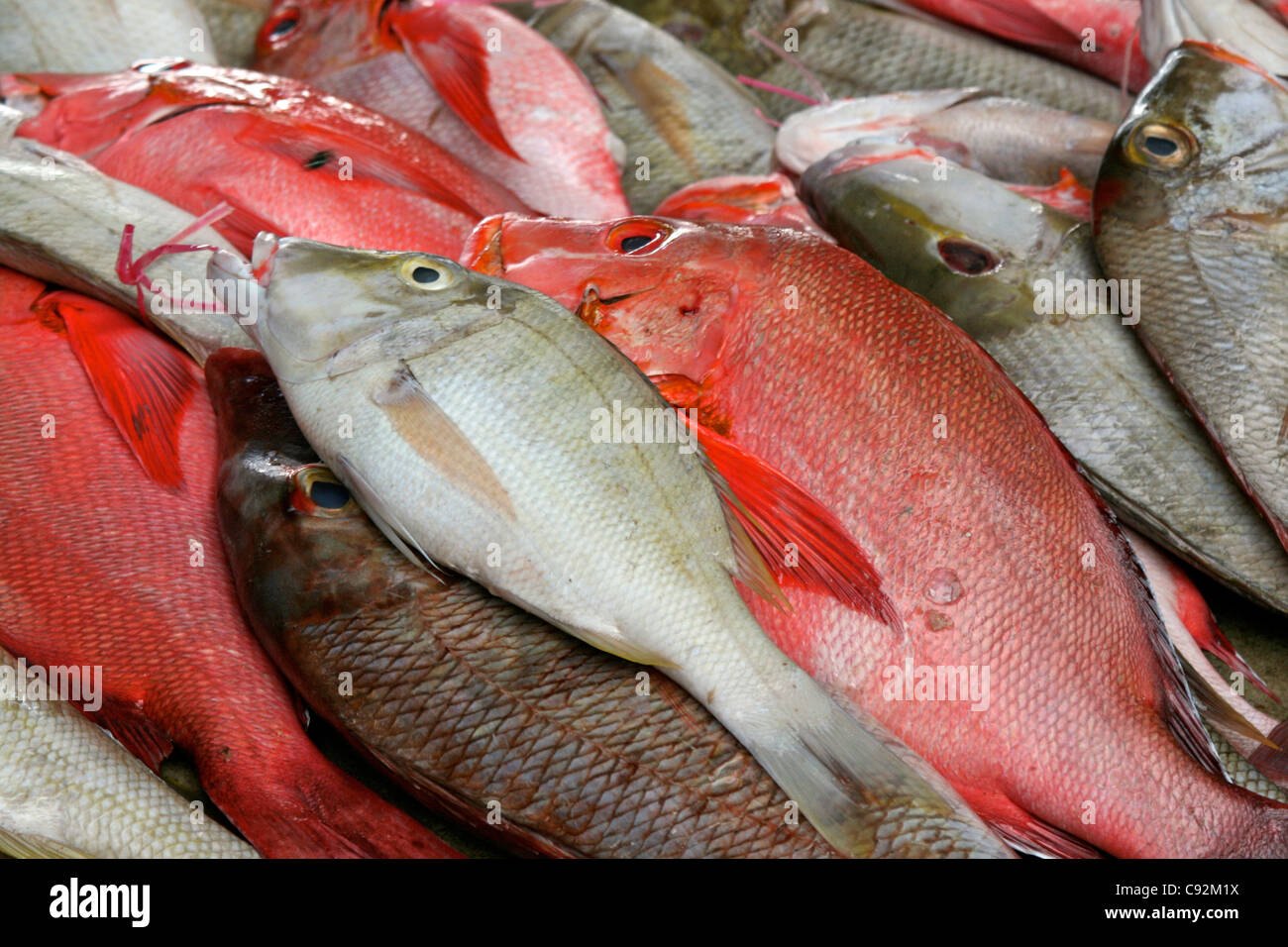 Freshly caught red and silver fish on a fish store in Victoria's