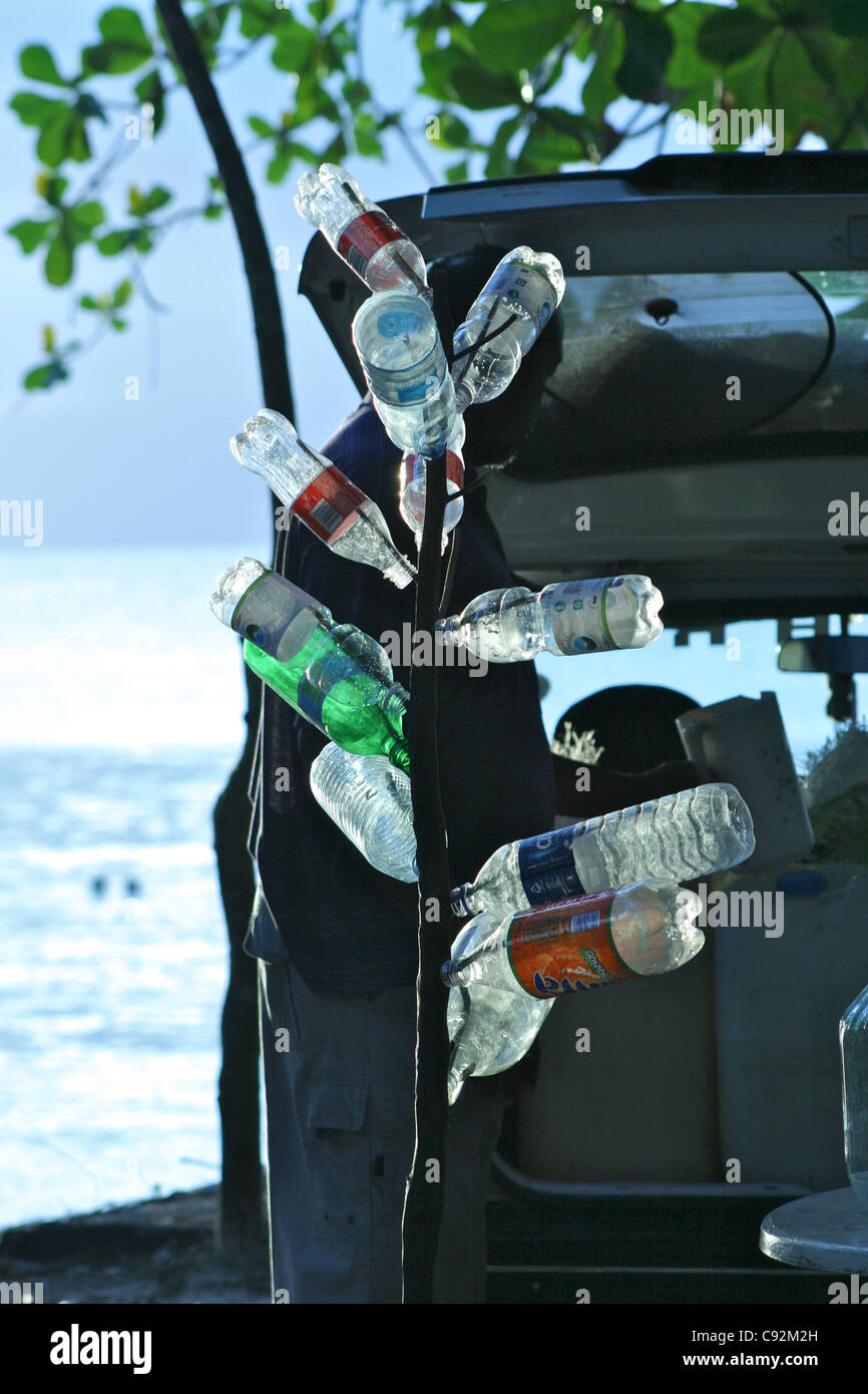 Plastic bottles are recycled and stored on an old branch ready to hold the home made alcohol