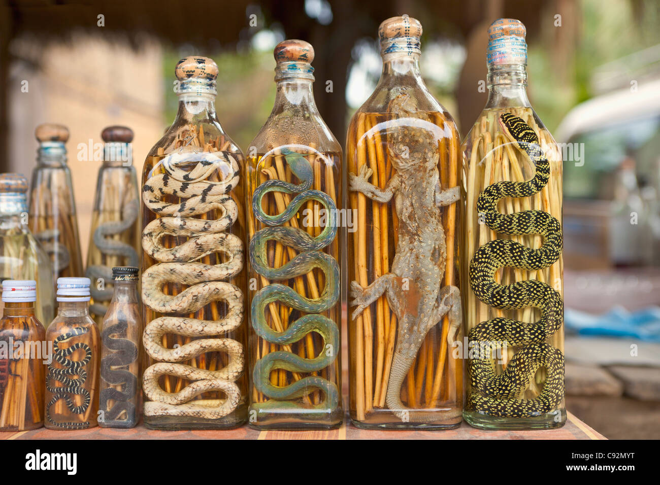 Snake whisky hi-res stock photography and images - Alamy