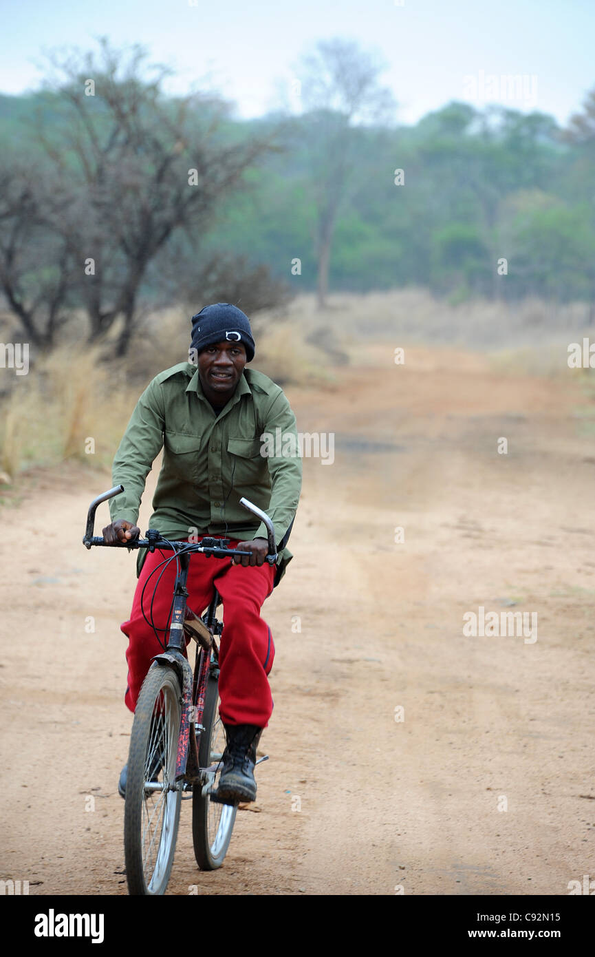 Imire safari worker riding bicycle along path in the ranch. Stock Photo