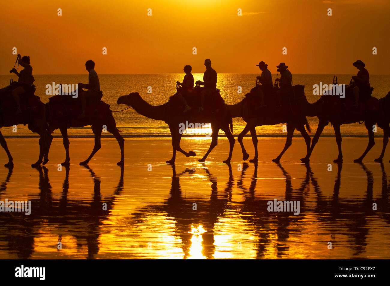 Tourist camel train on Cable Beach at sunset, Broome, Kimberley Region, Western Australia, Australia Stock Photo