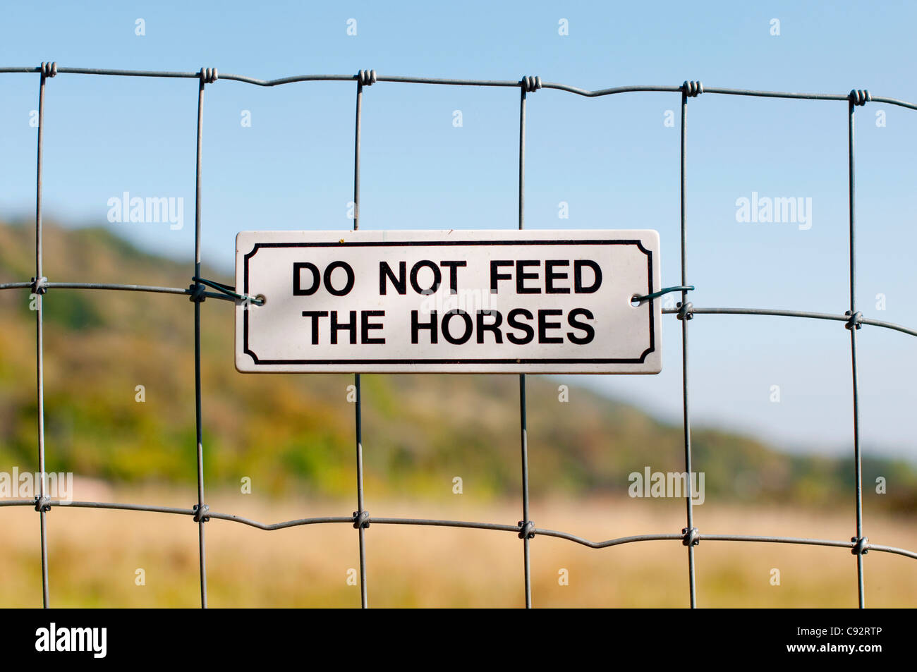 Do not feed the horses sign Stock Photo Alamy