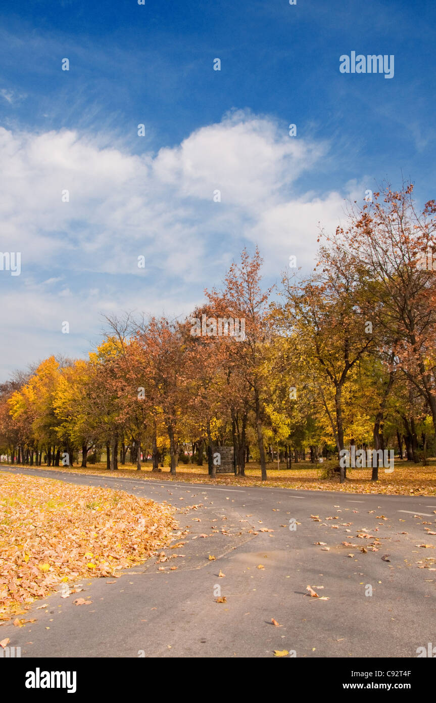 Outdoor autumn foliage scenery hi-res stock photography and images - Alamy