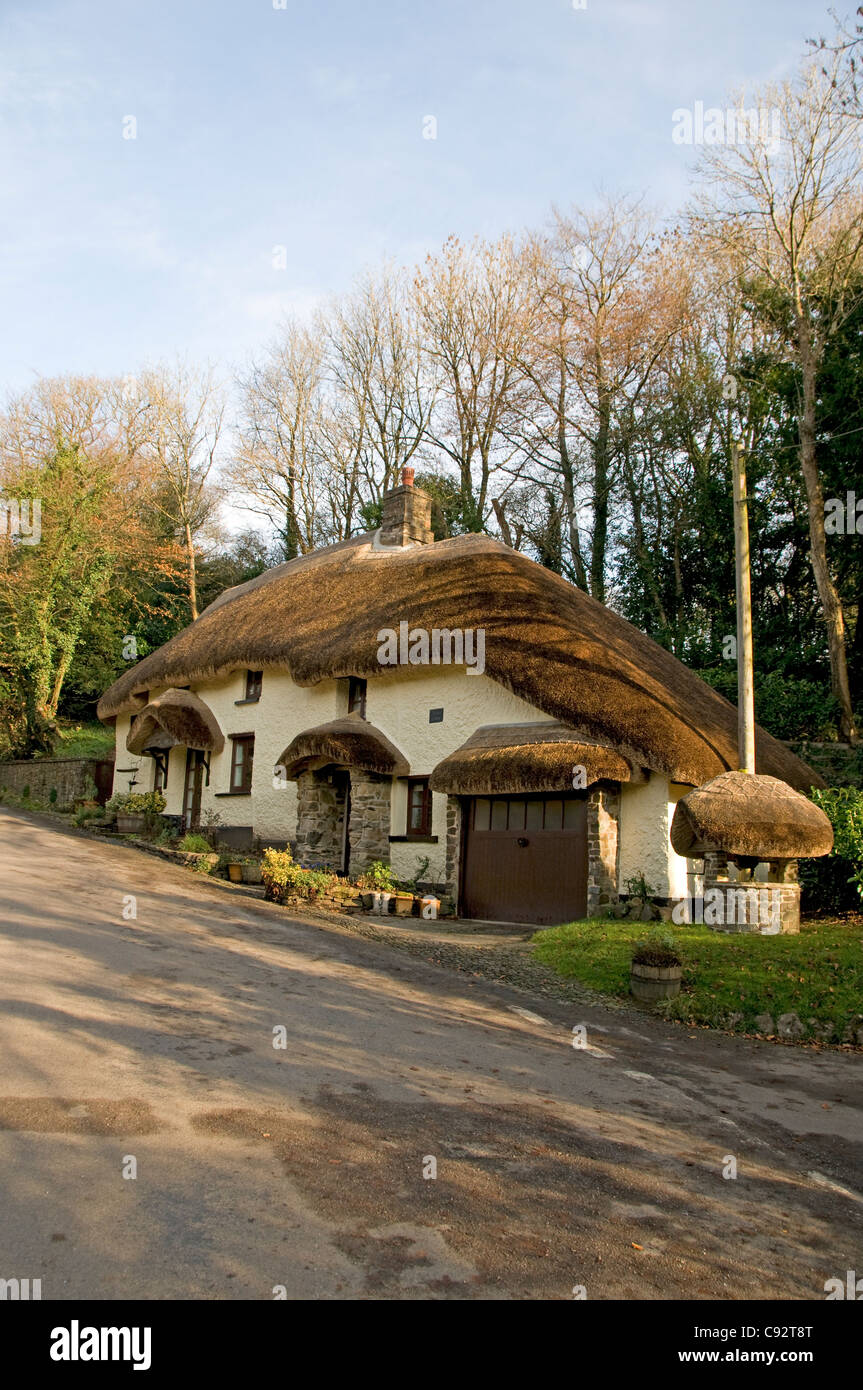 Rockey Cottage is a historic building and thatched cottage in the picturesque village of Northlew. Stock Photo