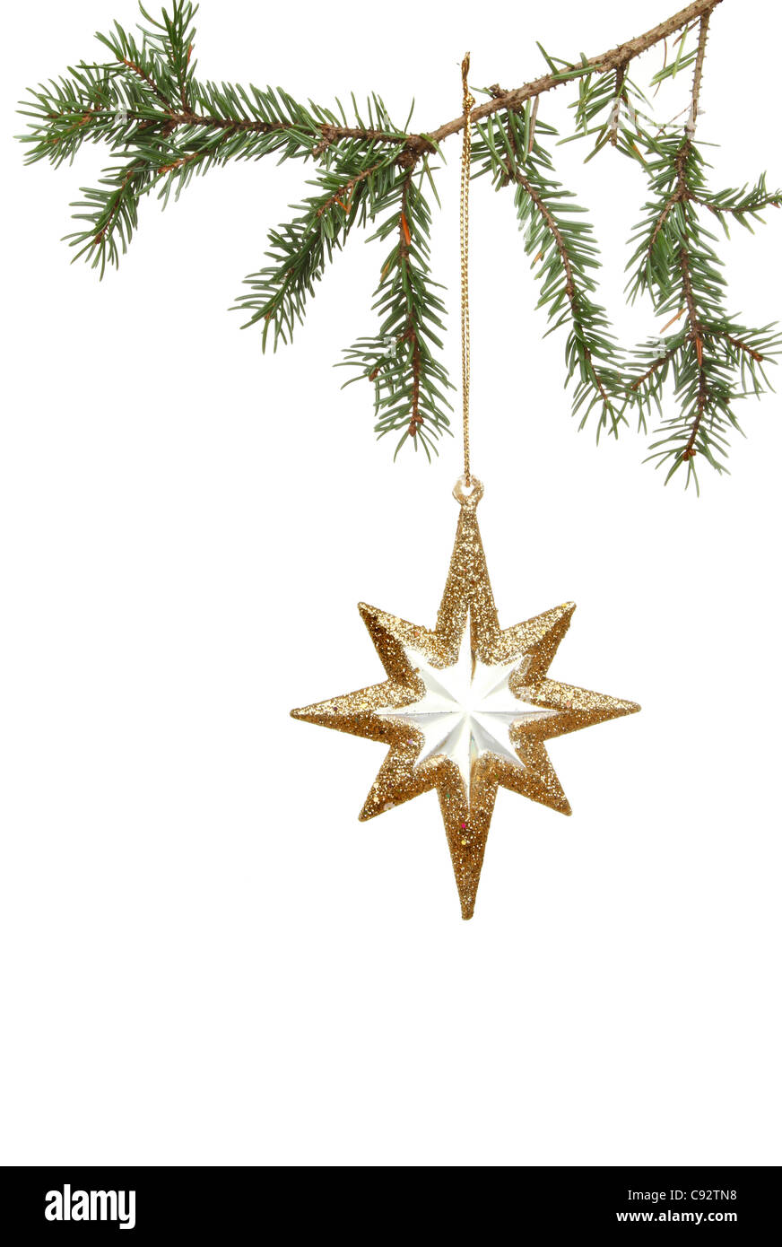 Gold star Christmas tree ornament hanging from a pine tree branch ...