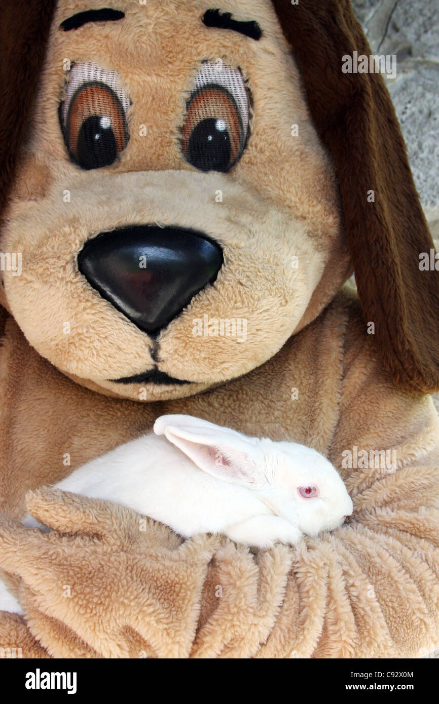 A costume puppet dog holding a red eyed white rabbit Stock Photo - Alamy