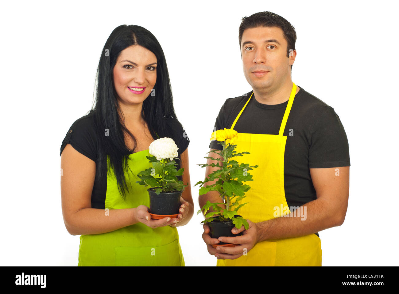 Two florists team holding chrysanthemums isolated on white background Stock Photo