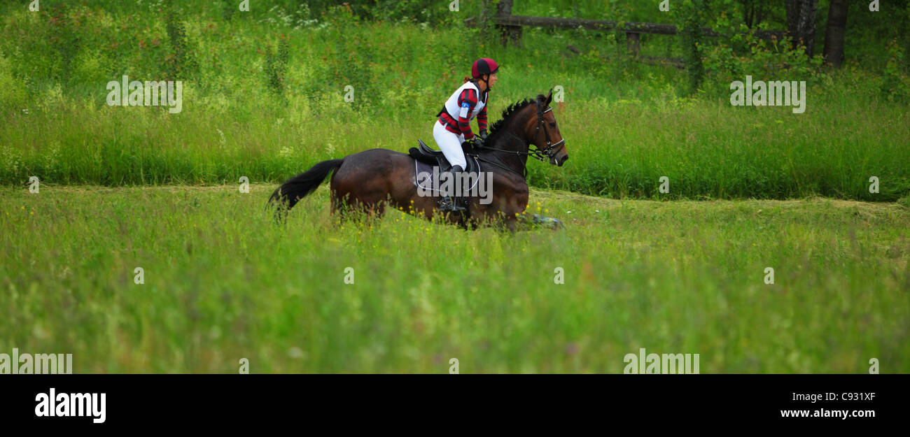 Rider and horse quickly galloping Stock Photo