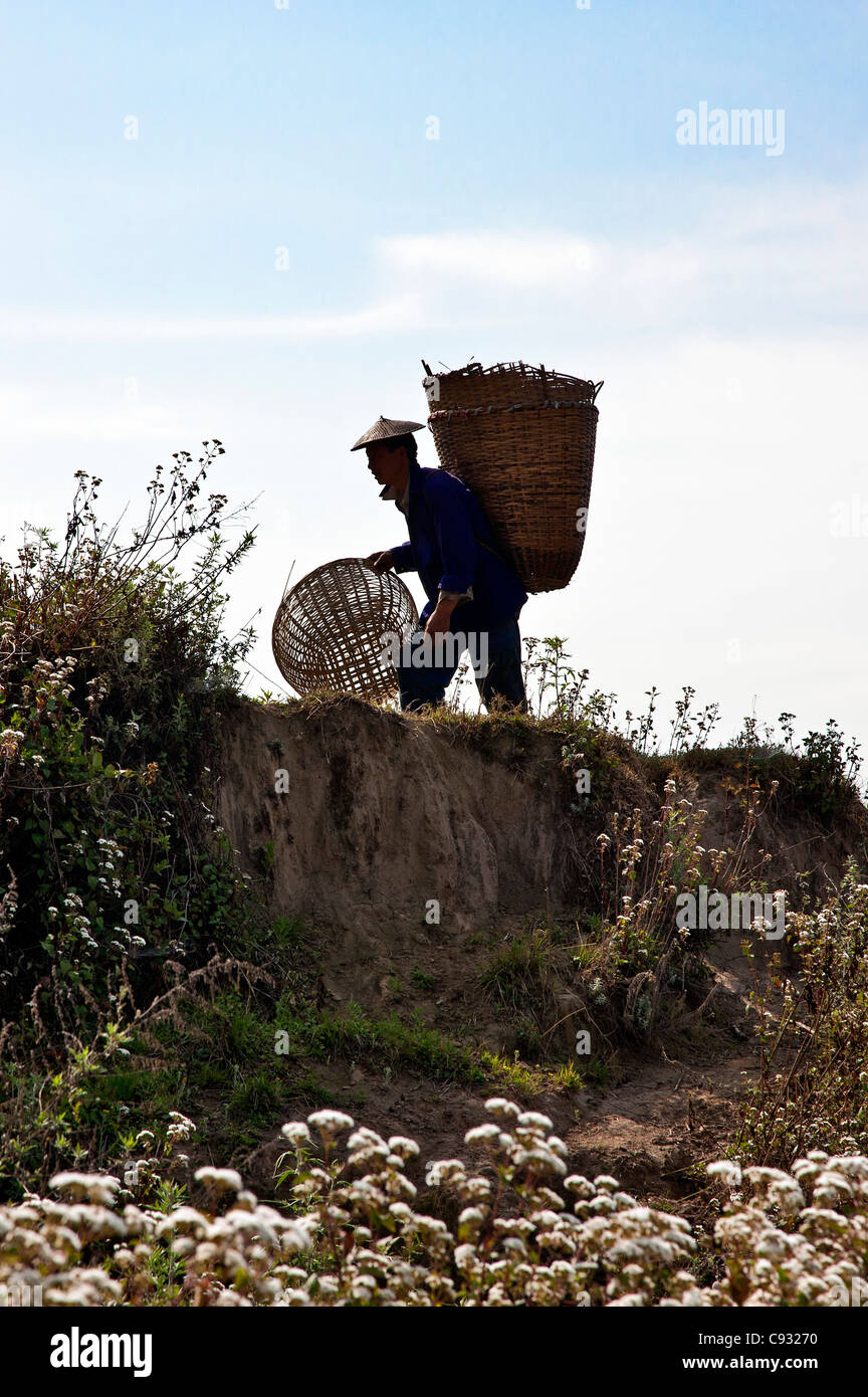 A man carries large bamboo baskets to collect produce from his hillside farm in the Mangde Chhu Valley. Stock Photo