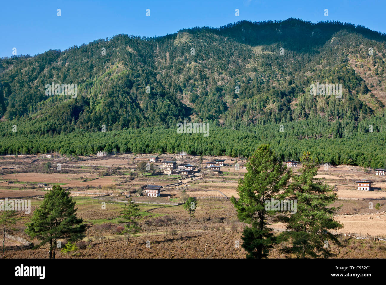 Farms in the fertile Phobjikha Valley. Stock Photo