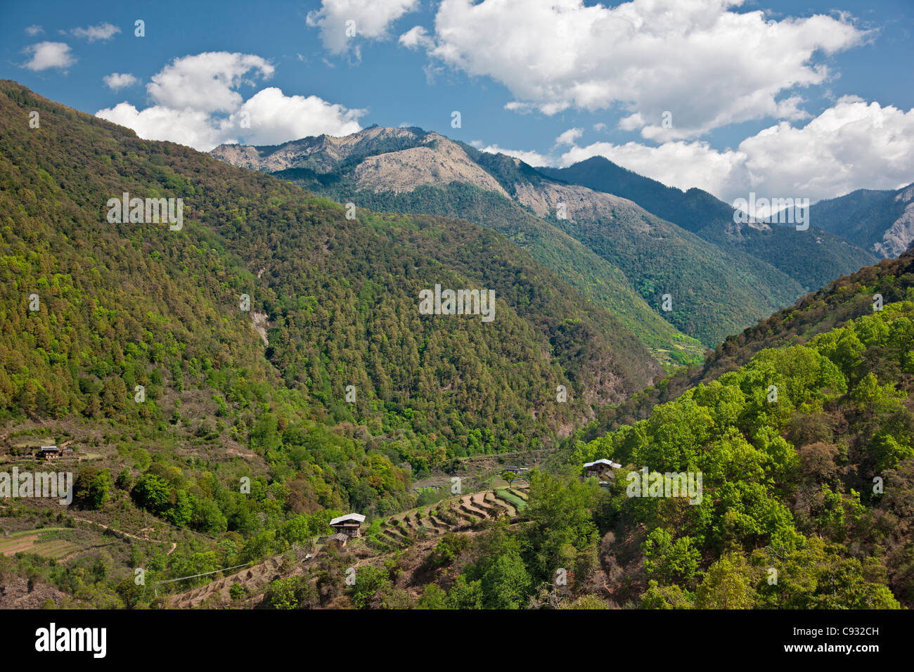 Dang chhu river valley hi-res stock photography and images - Alamy