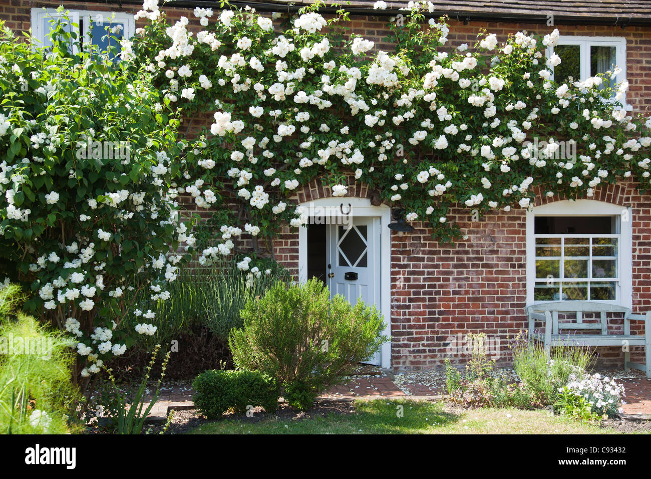 Roses garden cottage england hi-res stock photography and images - Alamy