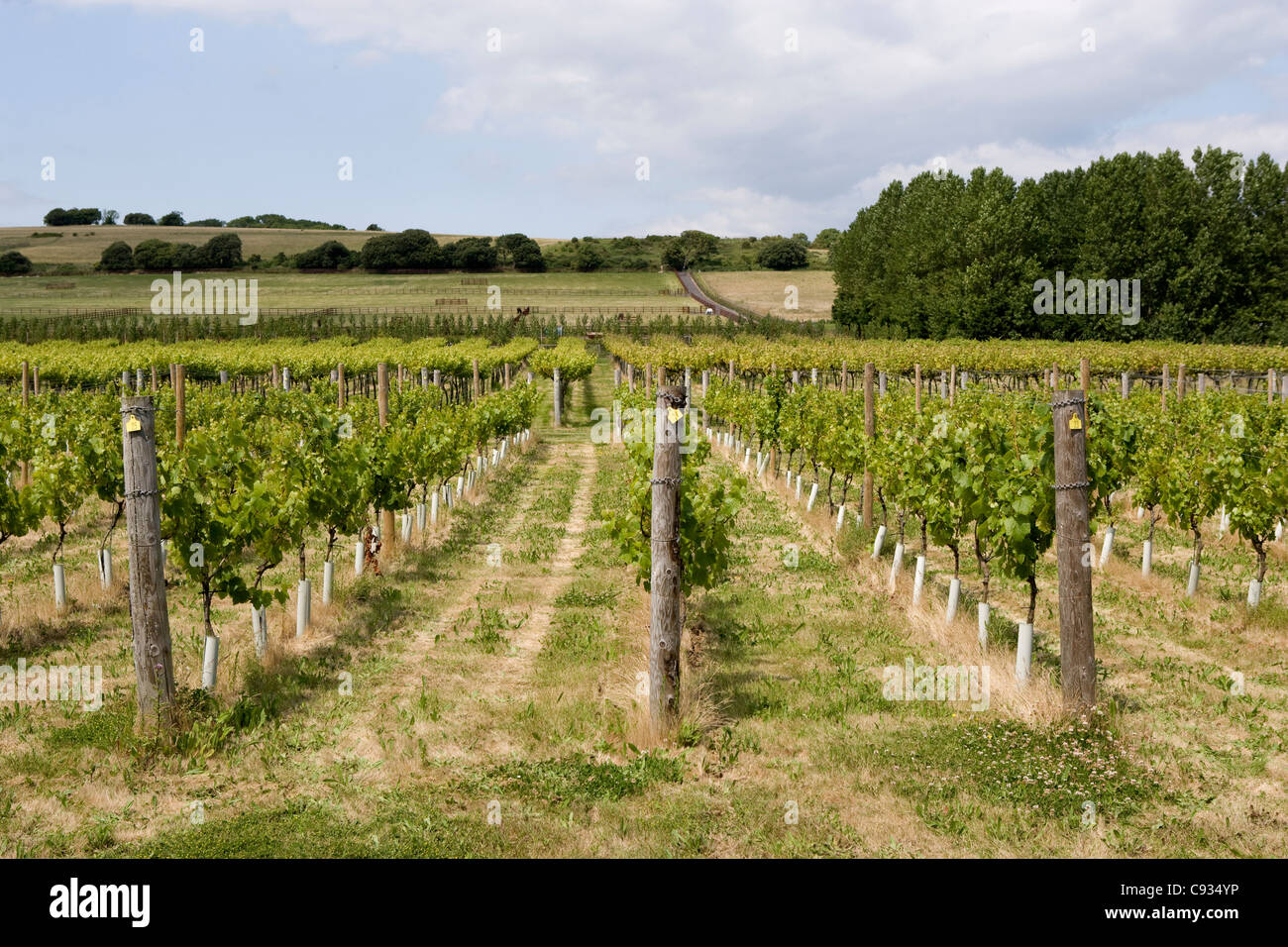 Highdown Highdown worthing hi-res stock photography and images - Alamy