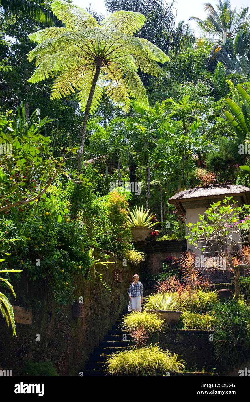 Luscious Gardens High Resolution Stock Photography And Images Alamy