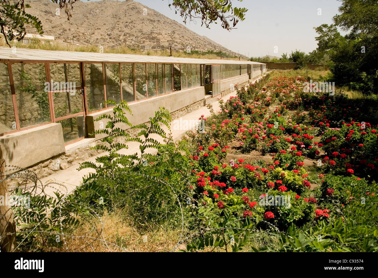 garden centre in Kabul Afghanistan Stock Photo