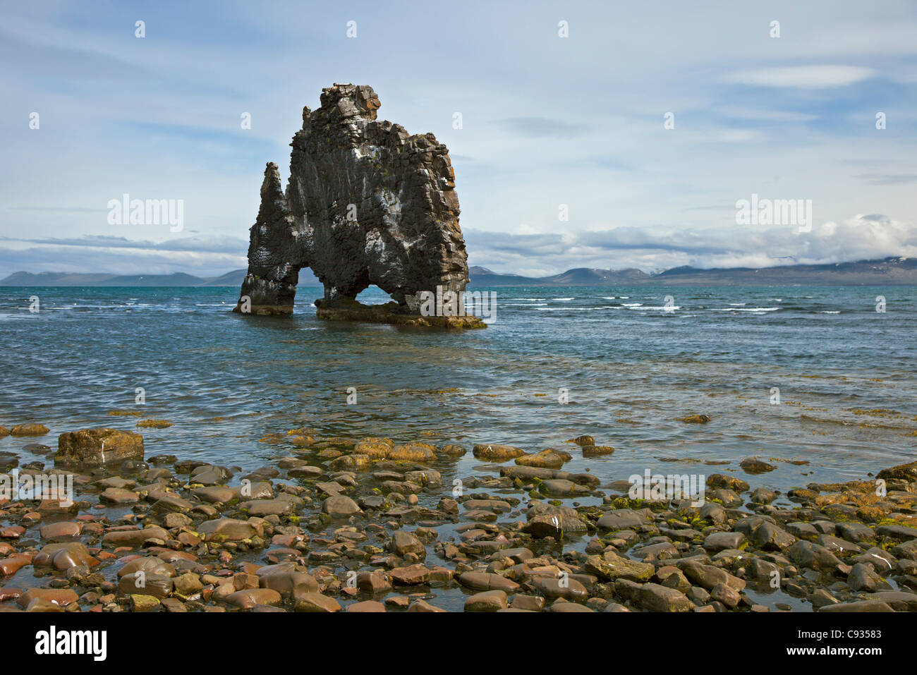 Hvitserkur Rock lies just off the Vatnsnes Peninusla.  The 15-metres high stack is formed from rock of volcanic origin. Stock Photo