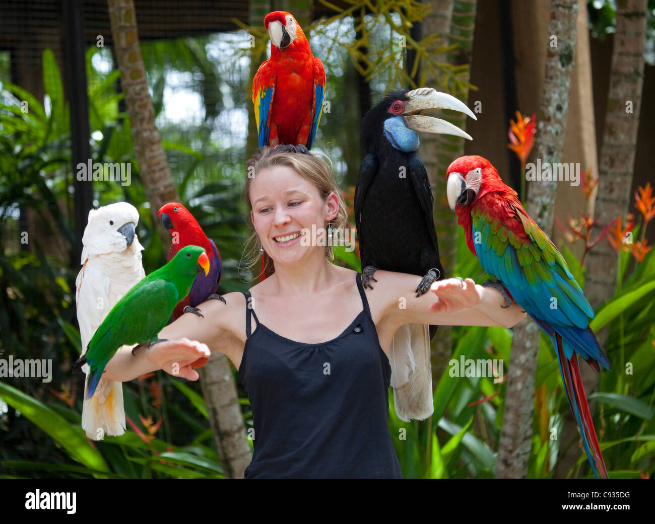 Bali, Ubud. A tourist poses with an assortment of birds at Bali Bird Park. MR Stock Photo