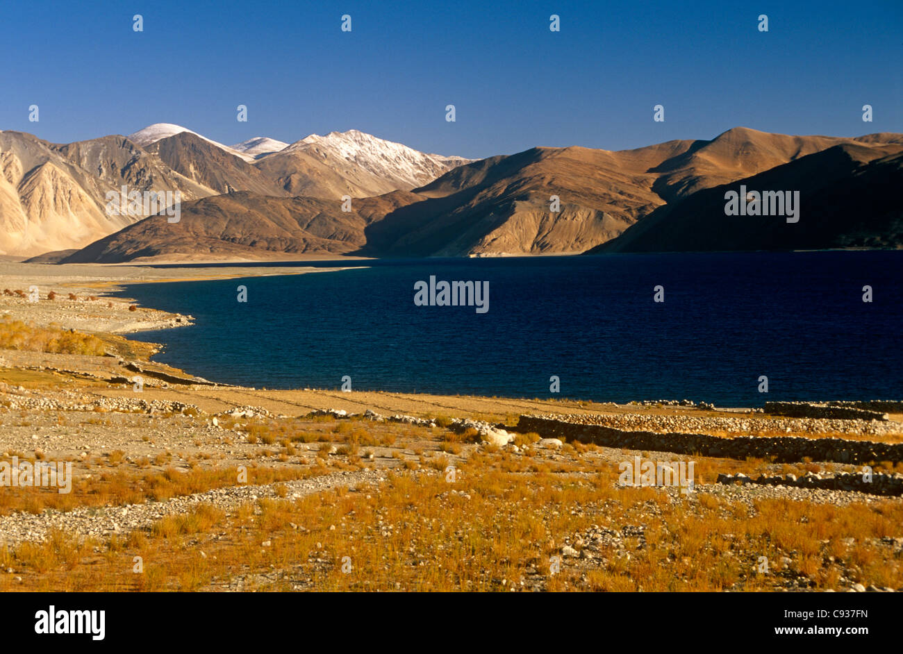 India, Jammu & Kashmir, Ladakh, Pangong Tso. This high elongated lake