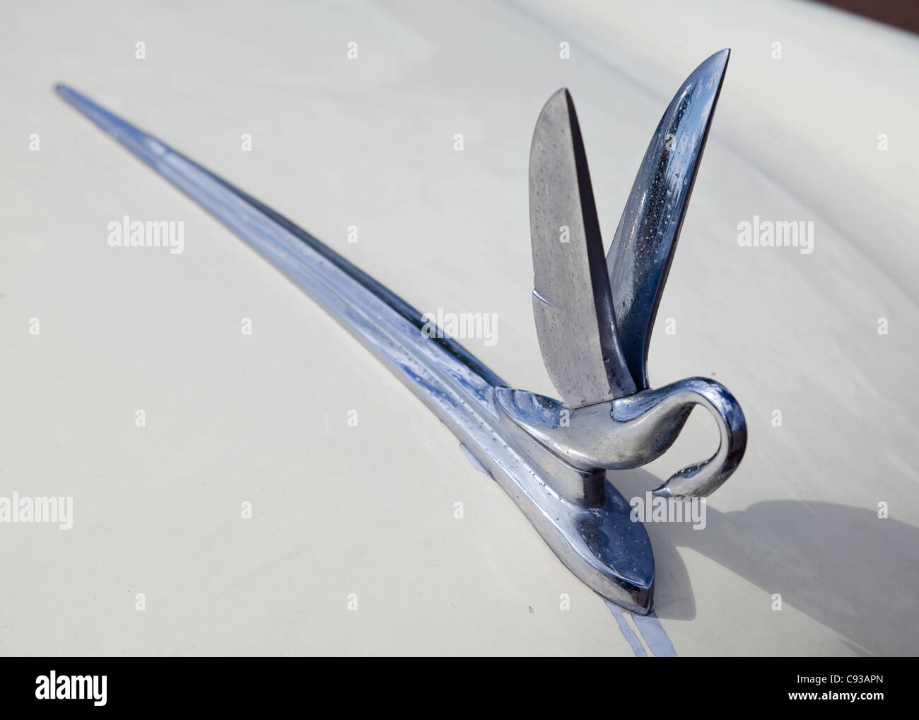 Classic car hood ornament of a silver flying swan on a cream coloured