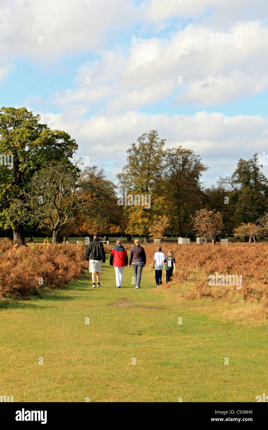 Bushy Park is one of London's Royal Parks near Hampton Court in south west London England UK Stock Photo