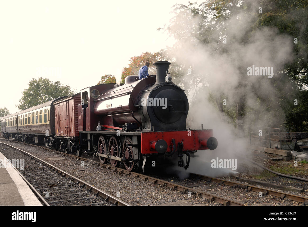 Steam locomotive at Avon valley Railway (Bitten) heritage railway during its Autumn Steam gala 2011 Stock Photo