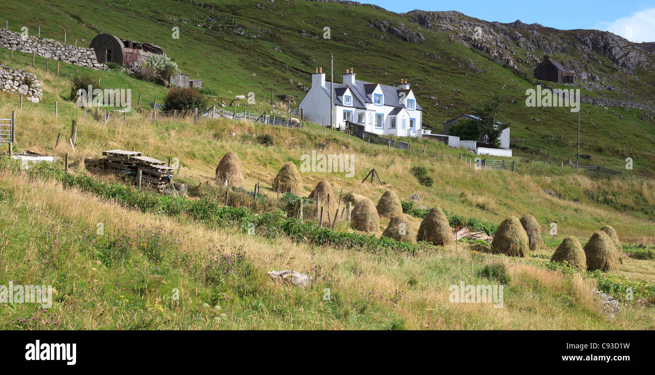 Hay stooks and cottage at Lemreway, Isle of lewis Stock Photo