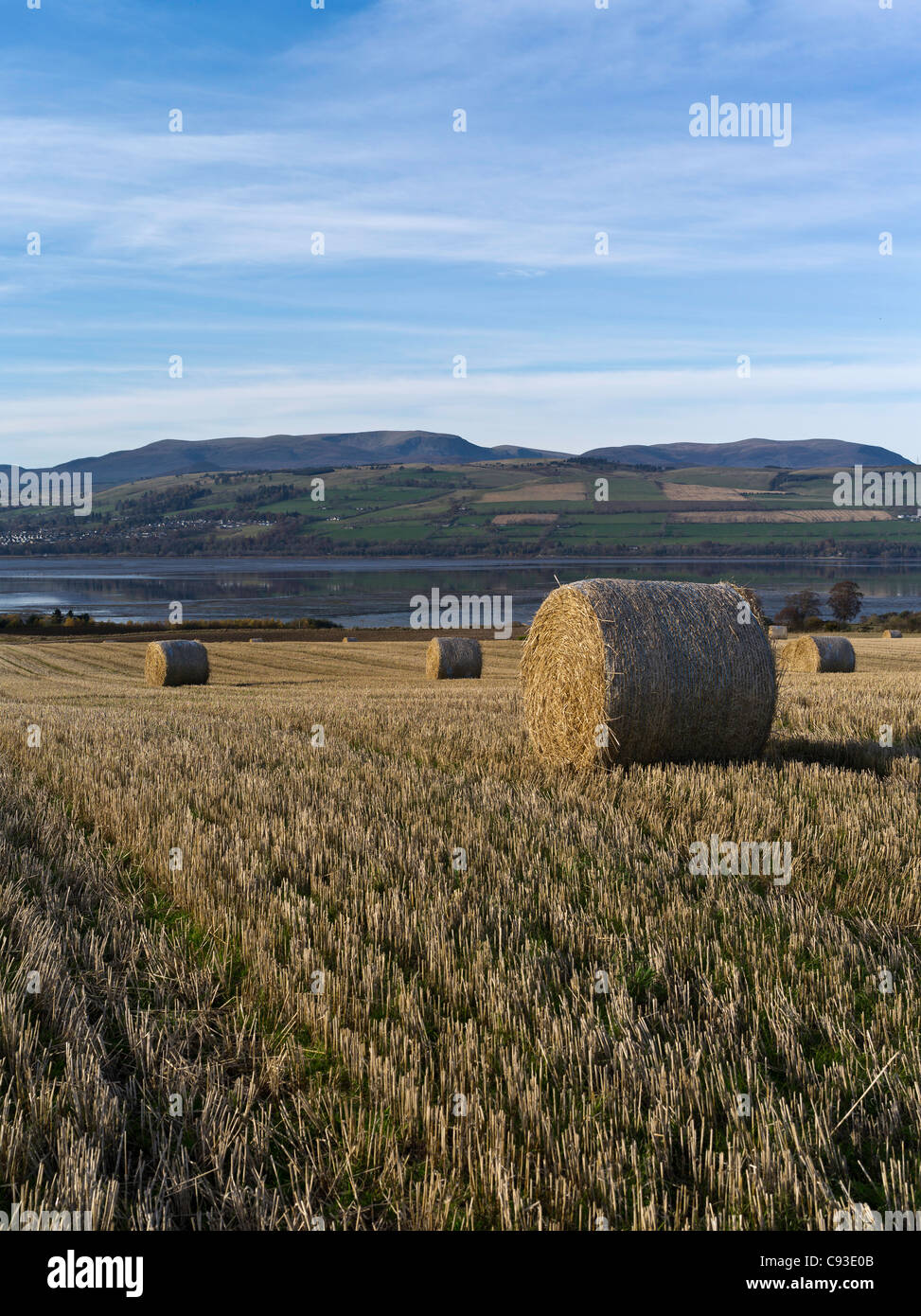 dh Ben Wyvis BLACK ISLE ROSS CROMARTY Scottish round straw hay bales harvested field autumn day scotland farmland harvest nobody farm land in uk bale Stock Photo