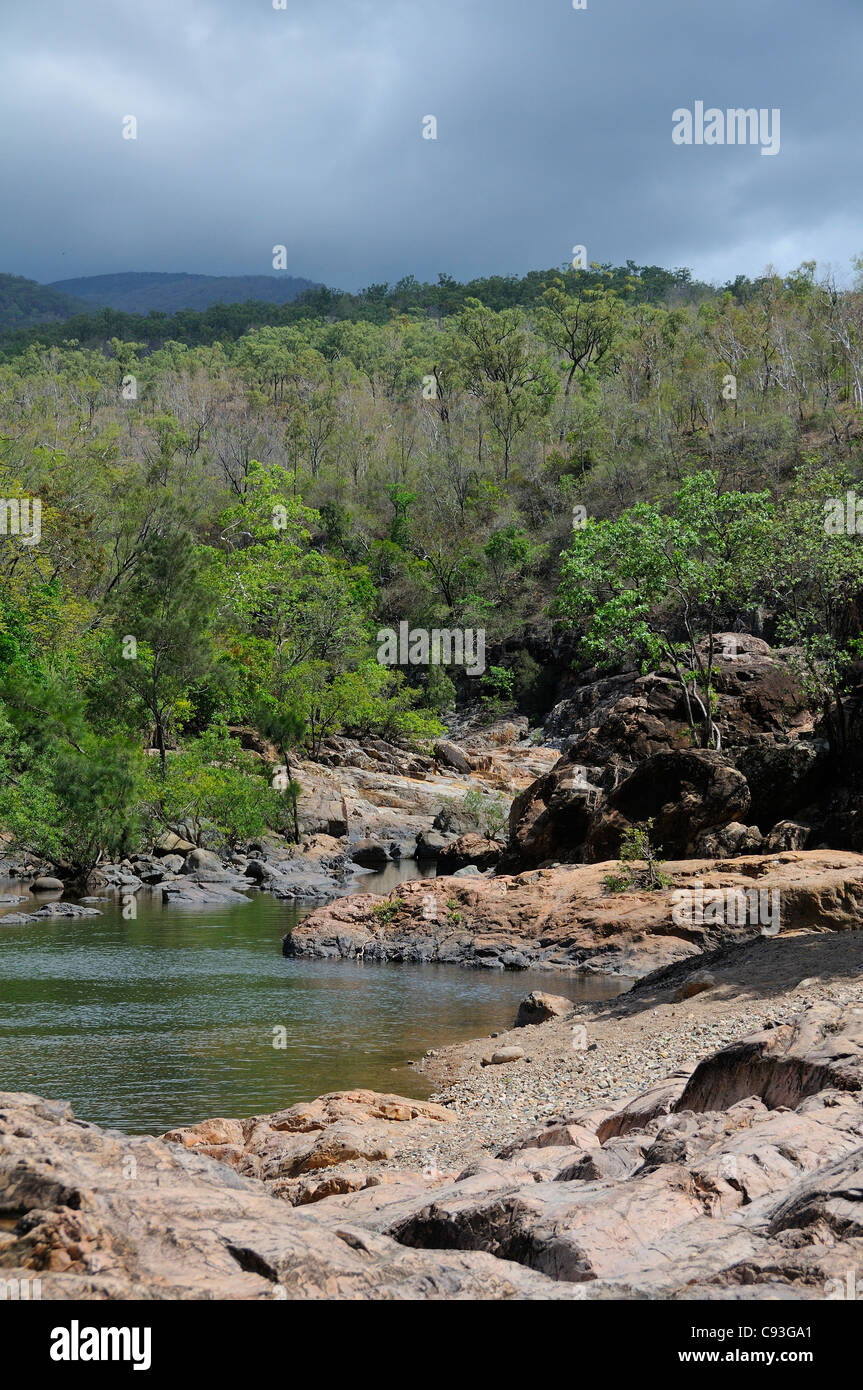 Water running along Alligator Creek, Bowling Green Bay National Park