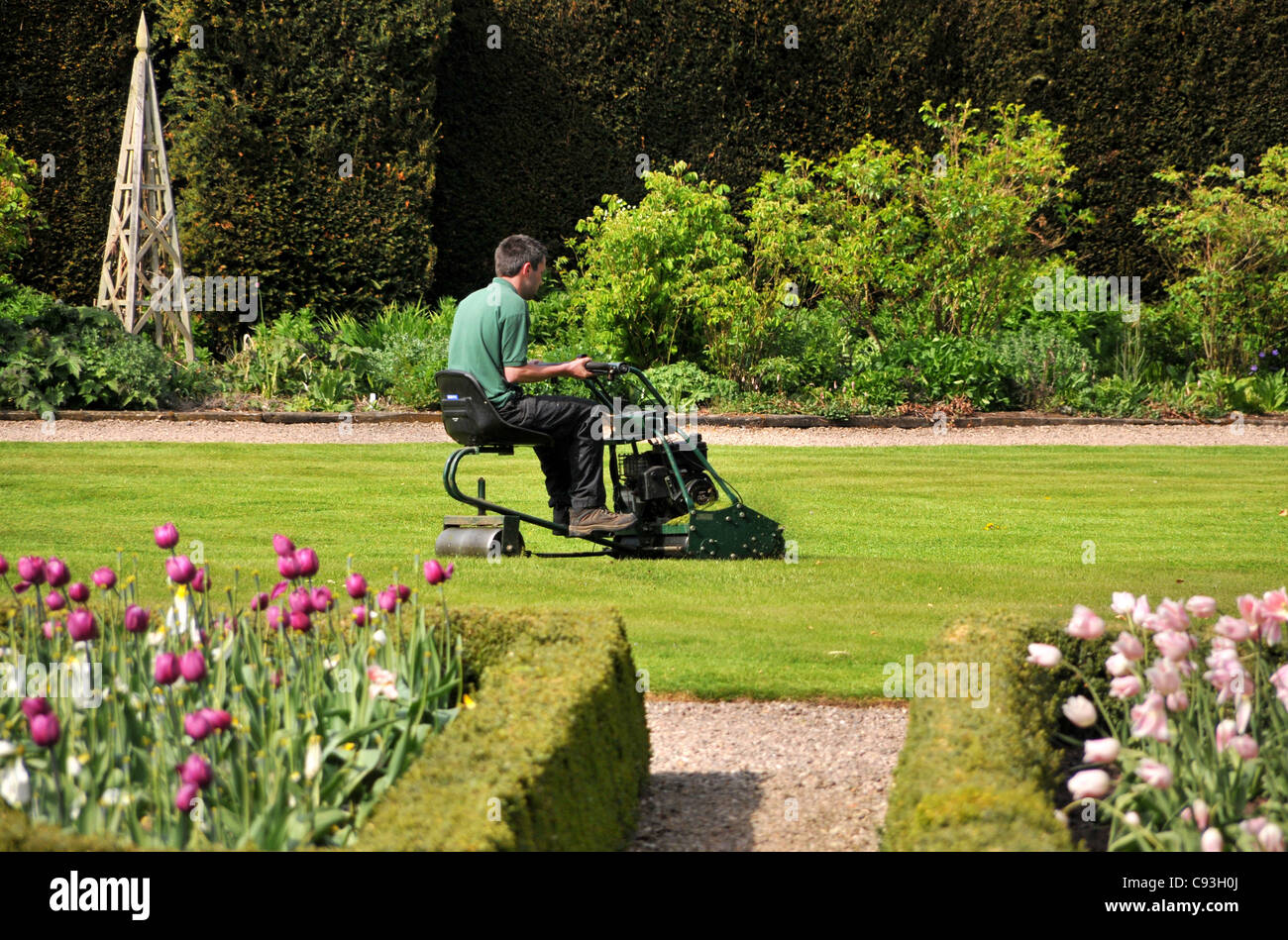 A gardener mowing a lawn on a petrol tractor grass mower. Stock Photo