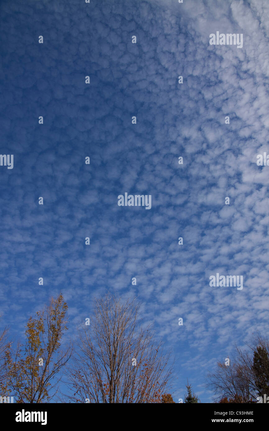 Altocumulus Mackerel sky USA Stock Photo Alamy