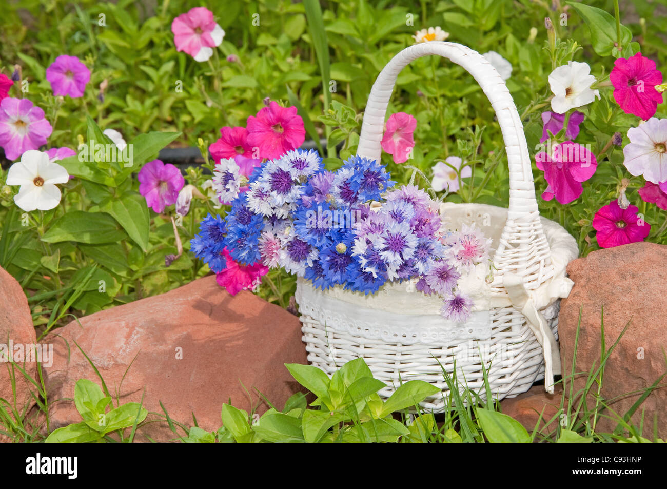White wicker basket with spring flowers against floral garden