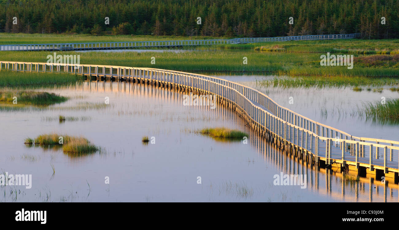 Boardwalk trail across wetlands at Greenwich, Prince Edward Island National Park, PEI, Canada. Stock Photo