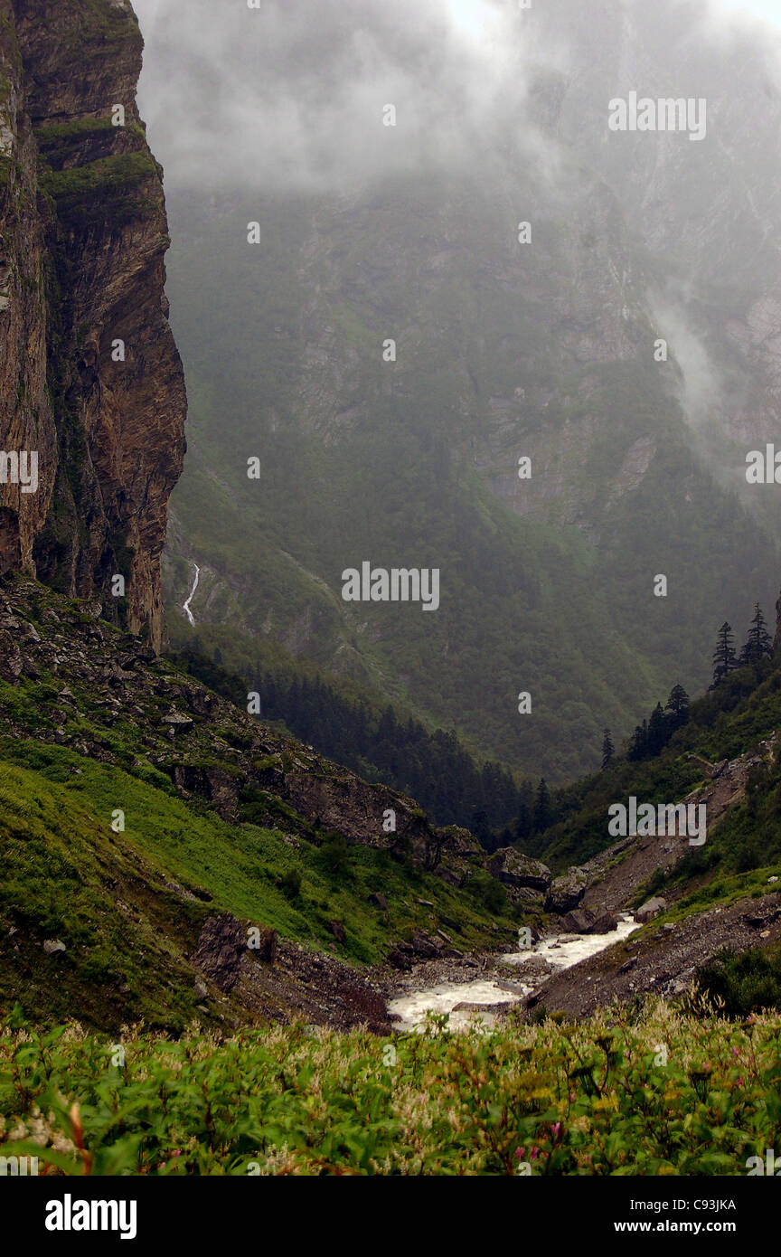 Valley of flowers himalayas hi-res stock photography and images - Alamy