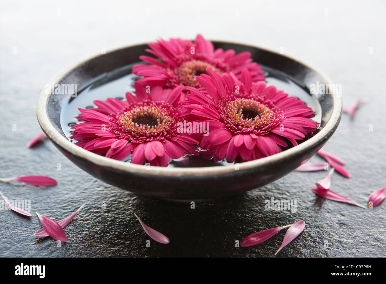 Flower heads in bowl of water Stock Photo Alamy
