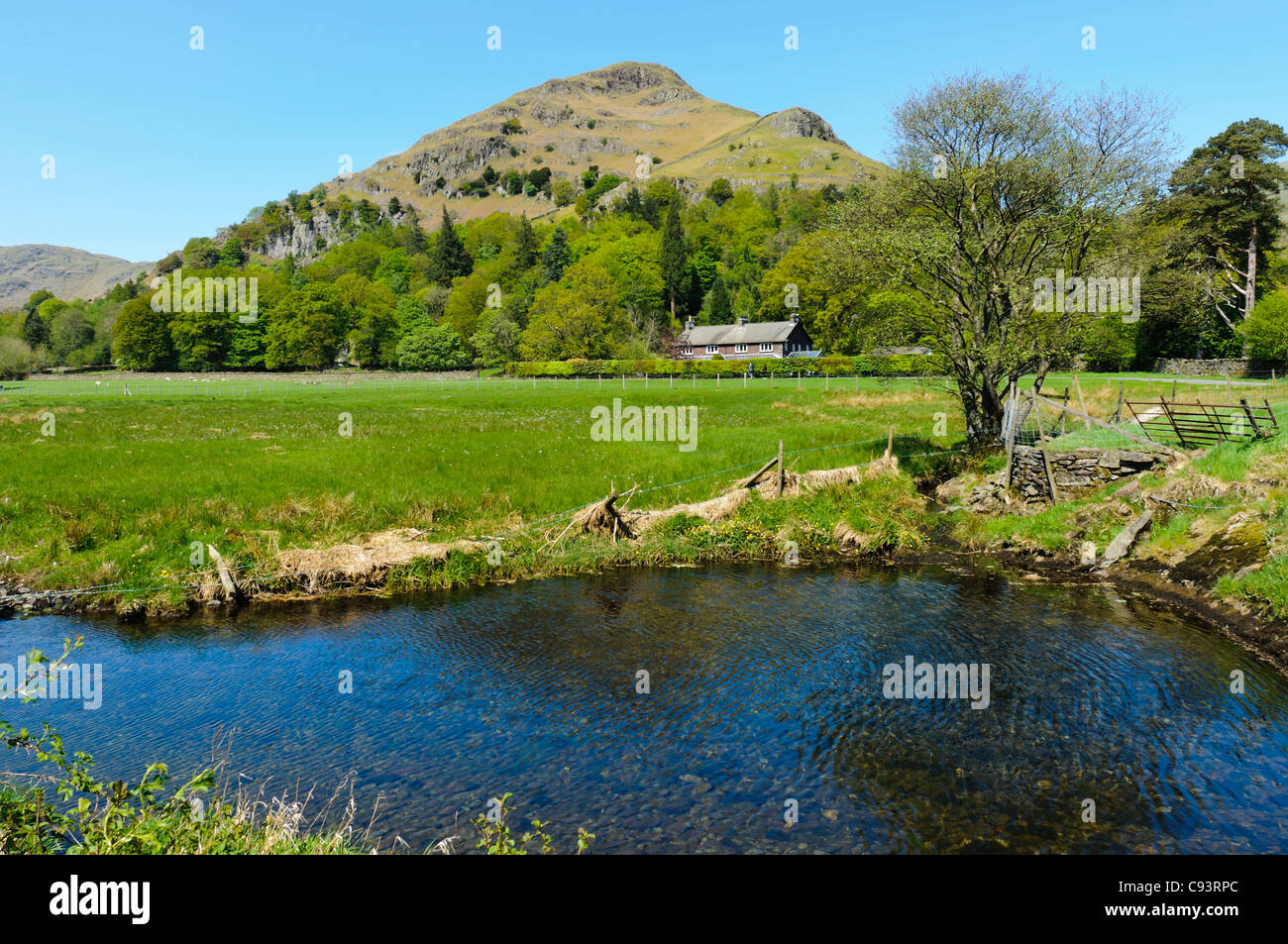 Easedale Valley and Helm Crag near Grasmere village in Lake District National Park England Stock Photo