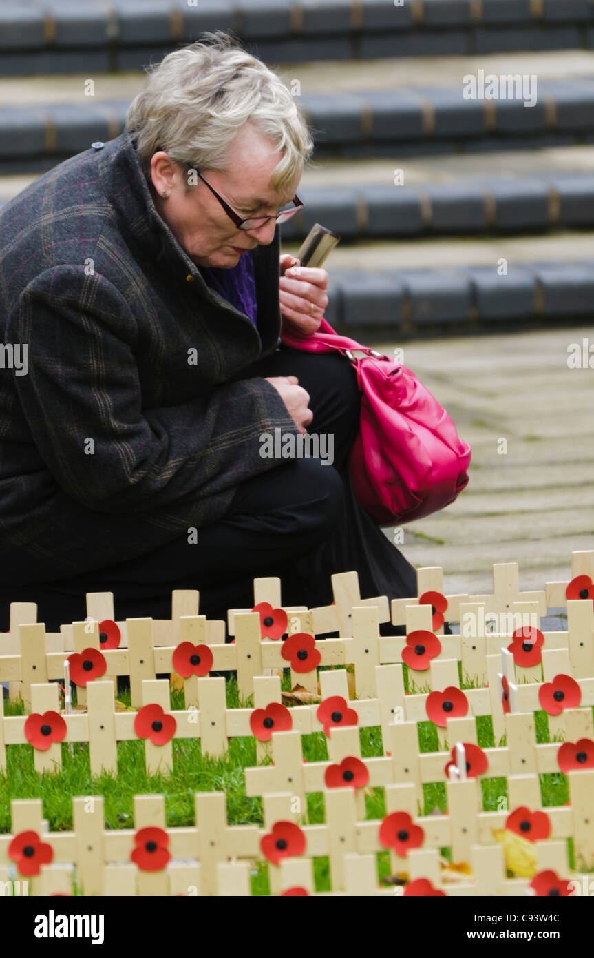 Woman reads the messages on wooden crosses with poppies laid for Remembrance Day at Belfast City Hall, Belfast, UK on 11/11/2011. Stock Photo